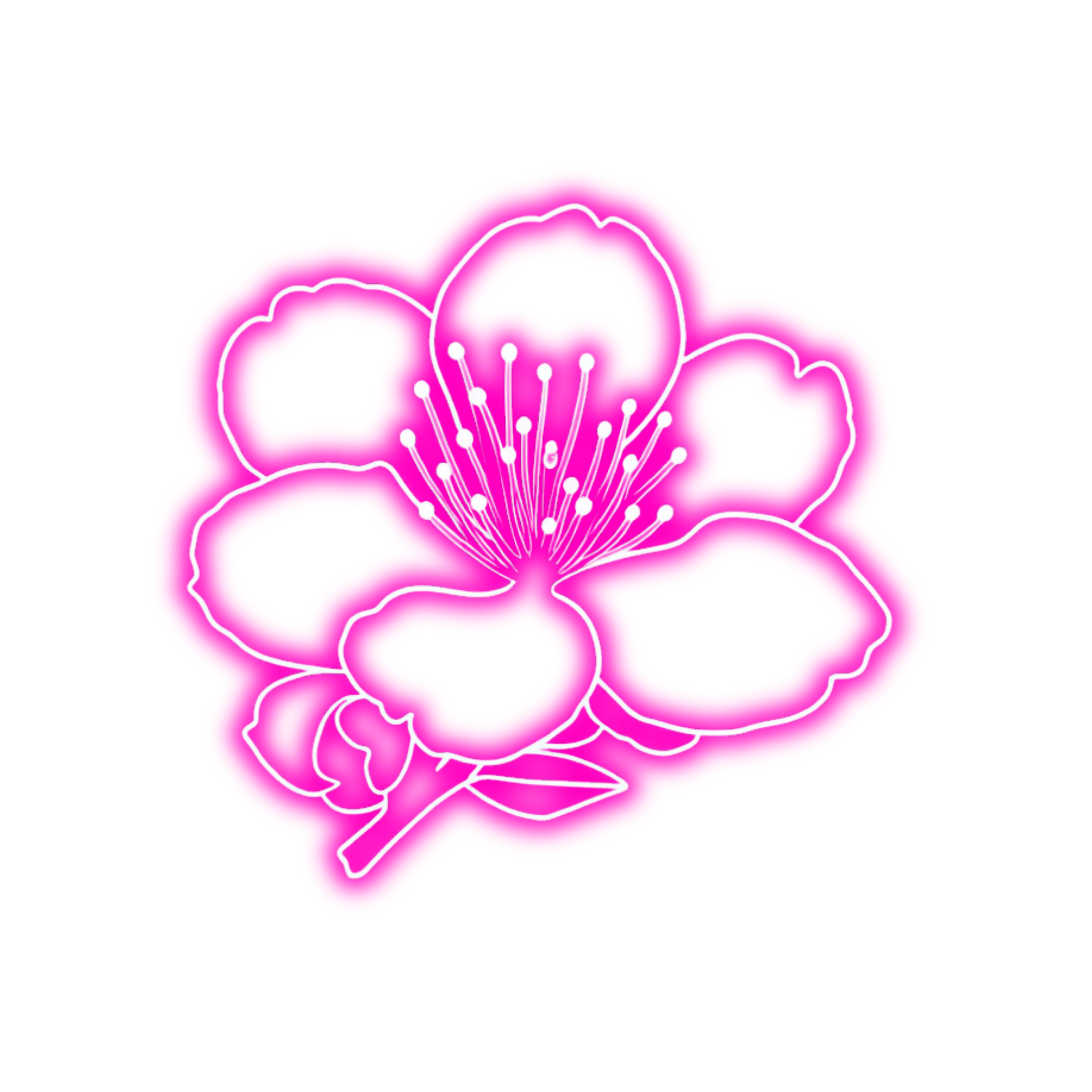 flores neon